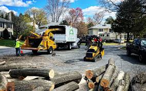Best Pest Control for Lawns  in Thermal, CA