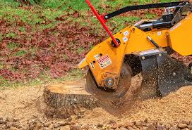  Thermal, CA Tree Care Pros
